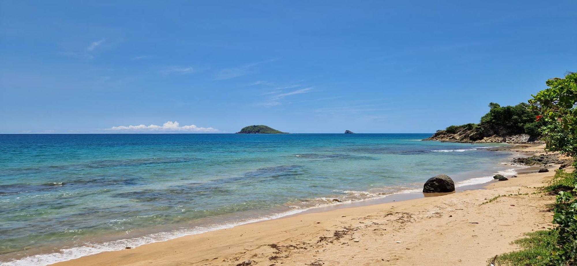 La Belle Vue - Grand Studio Vues Mer Et Acces Plages Deshaies Bagian luar foto